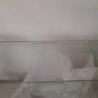 آکواریوم|ماهی|سهند, |دیوار