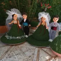 باعرض سلام.انواع سبزه برای جشن ها|گل و گیاه طبیعی|صحنه, |دیوار