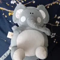 محافظ سر بچه