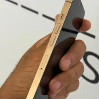 ایفون ۱۳ پرو ۱۲۸ گیگ  دو سیم رنگ گلد|موبایل|بندر گناوه, |دیوار