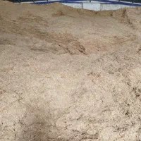 کاه گندم نرم امسال