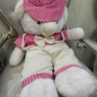 عروسک خرس و گربه