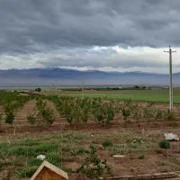 فروش باغ انار ۵۰۷ متری ۱ ساعته تهران