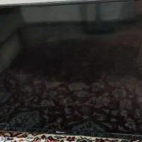 تلویزیون
