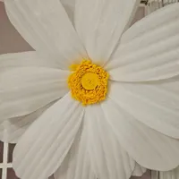گل بابونه