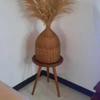 گل وگلدان پانپاس