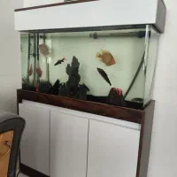 آکواریوم با کلیه وسایل،