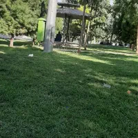 نظافت منزل وباغ