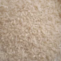 برنج چمپه کیلو ۲۶۰۰۰۰تومان