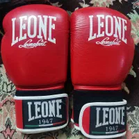 دستکش LEONE هایکوپی