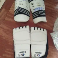 محافظ پا و روپای تکواندو