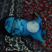 نی انبان|سازهای بادی|شهرکرد, |دیوار