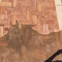 سنگسابی کف سابی سنگساب لاشه سنگ ساب زن بتن شستشو|خدمات نظافت|کرج, گوهردشت|دیوار