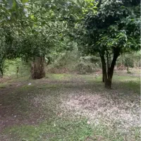 رمین   مسکونی