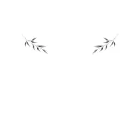 مدل خانوم فقط ۸۰۰ت دوتا باهم|خدمات آرایشگری و زیبایی|بندر انزلی, باغ زمانی|دیوار