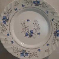 پلوخوری بشقاب آرکوپال پارس اپال ۵ عدد