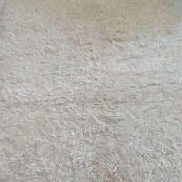 قالیچه فانتزی پشمالو|فرش|مشهد, اقبال|دیوار