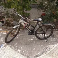 دوچرخه پارک پلیس
