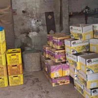 کشمش افتابی کاشمر .سبز. مویز. دودی|عمدهفروشی|کاشمر, |دیوار