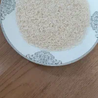 برنج هاشمی درجه ۱ محصول امسال