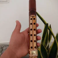 نی . نی انبان