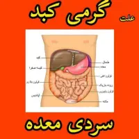 برطرف کردن مشکلات مزاجی|فعالیت داوطلبانه|آباده, |دیوار