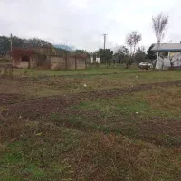 ۴۱۱متر|فروش زمین و ملک کلنگی|ماسال, |دیوار