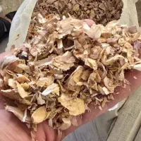 پخش پودرسیر،خاکشیر و...مستقیم از سورتینگ