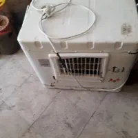 کولر شایسته