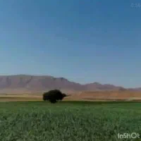 فروش زمین زراعی