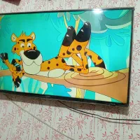 ال ای دی 40اینج سامسونگ اصلی