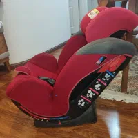 صندلی ماشین کودک|تخت و صندلی بچه|رشت, کاکتوس|دیوار