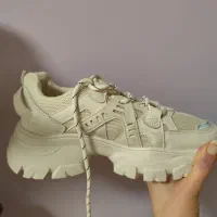 کفش سینسی لهستان سایز ۳۹ مناسب برای (۲۴.۵-۲۵ سانت)|کیف، کفش، کمربند|شیراز, دکتر حسابی|دیوار