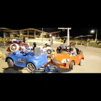 فروش چرخ و فلک ماشین ( دستی )