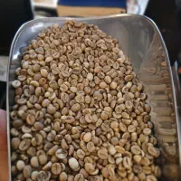 فروش قهوه سبز عمده جهت عطاری(۵ کیلویی و ۱۰ کیلویی)|عمده‌فروشی|تهران, نیروی هوایی (پیروزی)|دیوار