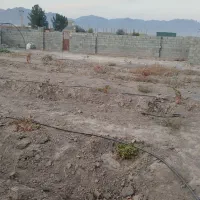 850متر باغ کشاورزی|فروش زمین و ملک کلنگی|کاشمر, |دیوار