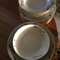 فروش سرویس غذاخوری چینی