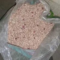 لوبیا چیتی تازه امسال درجه یک