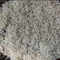 برنج لنجان جوزدان کیلو ۴۶۰