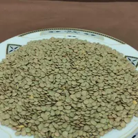 انواع حبوبات برنج ماکارانی قندشکر چای روغن رب|خوردنی و آشامیدنی|اسلام‌شهر, |دیوار