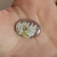 سنگ طبیعی شجر/ طرح درخت برفی/ ویدیو قبل از خرید