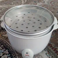 پلوپز برقی