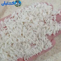 برنج هاشمی اصل مازندران محصول 1404|خوردنی و آشامیدنی|تهران, مولوی|دیوار