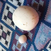 سنگ اسیاب ازمایش شوده|کلکسیون اشیاء عتیقه|کوهسرخ, |دیوار