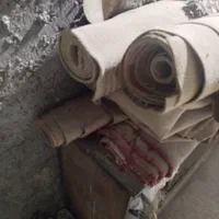 فرش و موکت|فرش|بندرعباس, |دیوار