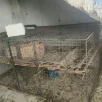 قفس مرغی با جوشکاری مرتب و دقیق سربندر