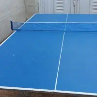 میز تنیس روی میز|ورزش‌های توپی|نقده, |دیوار