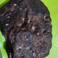 شهاب سنگ توافقی|کلکسیون اشیاء عتیقه|ماهدشت, |دیوار