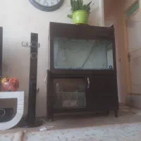 فروش اگواریوم|ماهی|ماکو, |دیوار