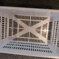 سبد ۲۵ کیلویی|عمدهفروشی|جلفا, |دیوار